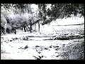 Prespa Kranji 1959 Kultura, Tradita dhe Muzika