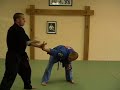 CASA DE KENPO - PURPLE BELT - SPIRALING TWIG CASA DE KENPO - PURPLE BELT - SPIRALING TWIG