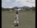 Learjet RC