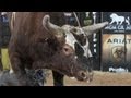 Top 10 PBR bull performances of 2012