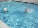 just keep swimming just keep swimming