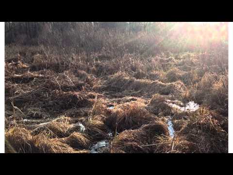 MrHartmanScience - This video is about Chickadee PBL.