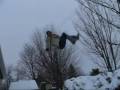 Funny Roof Jumps