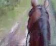 step & trot on Cedr ;)
