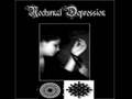 Depressive Black Metal Bands