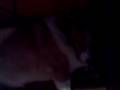 videos de zzzzzzzzzzzzzzzzzzzzzzzzzzzzzzzz
