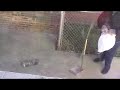 Possum Party