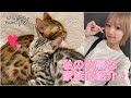 【癒し】家族を紹介するよ！