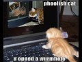 very-funny-cats-and-dogs-part-10.html
