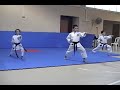 Heian sandan bunkai omote (kumite)