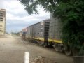 Cruzada de trenes de NCA y FEPSA en Marcos Juárez - 3