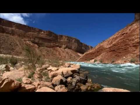 grand national results