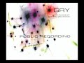 Gry & FM Einheit - Rocket