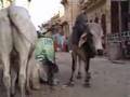 India (V): Ramdevra, Jaisalmer and Osian