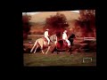 ejemplo del andar del caballo Peruano de paso