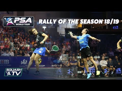 Squash: Rally of the Season 2018/19