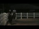 Shellie & Aragorn: Road Hack