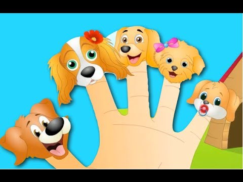 Finger - The Finger Family Dog Family Nursery Rhyme | Kids Animation Rhymes Songs Here's the most loveable animation song from Videogyan called Dog Finger Family. Kid...