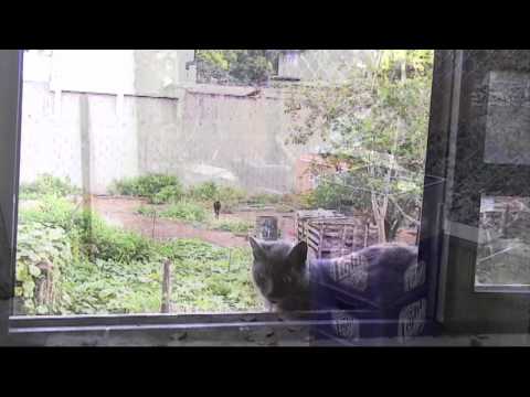 Cenisa Full HD 720p Sony dcr-hc42.mpg