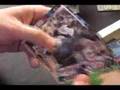 Lance's 2007 Fleer Ultra SE Baseball Hobby Box Break