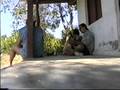 videos de Pedro & Jesus en El Cayuelo - Guardalavaca-Cuba