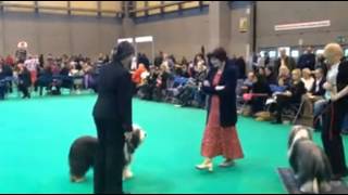 Hannah at Crufts 2014