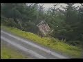 accidentes de autos