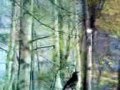 videos de Haus Natur und Umwelt Teil 1