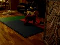 MOV02428 MOV02428
