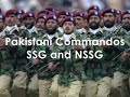 SSG & NSSG.flv