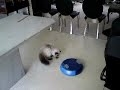 Roomba Driver pt 1