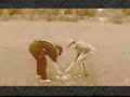 The Glorious Bocce Ball Championship