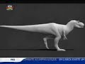 Dinoss�urio Marrocos estudado por MNHN/UL - SIC