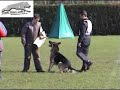 SCHUTZHUND CHELLO V. BANHOLZ