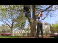 String Theory - Sneaker Double Feature 1