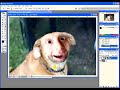 Photoshop CS2 compositing images part 2