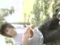 videos de Camping en el Mapocho