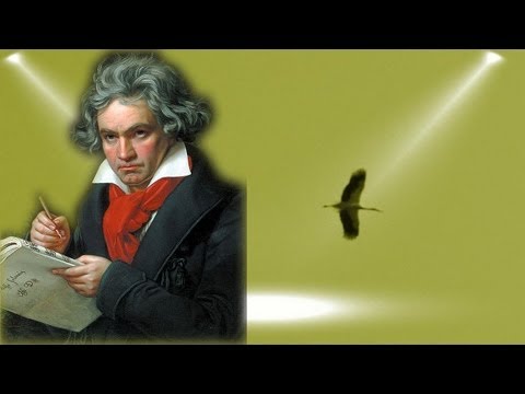 Symphonie Nr. 5