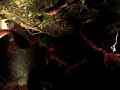 Pond Fish in underwater lights Pond Fish in underwater lights