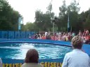 Freizeitparkflitzer