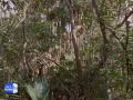 Everglades, Florida