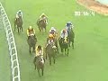 Reflection Of Gold wins under top weight impressively