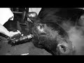 vivisection : protection des animaux   