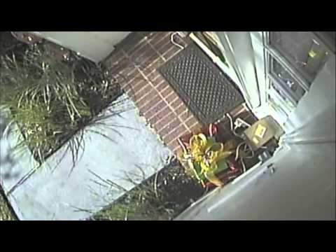 how to drop off at fedex