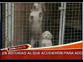 Froilandia en TVE