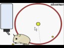 Epic ass hamster simulator Epic ass hamster simulator