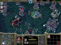 Warcraft III + Frozen Trone Rasa-NIeumarli Warcraft III + Frozen Trone Rasa-NIeumarli