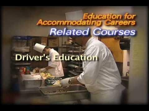 Career and technical ed the Egyptian government - the functions of absorbing - YouTube