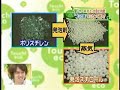 touch!eco  対馬清掃②