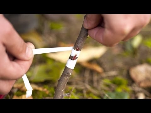 Каталог компаний Минска